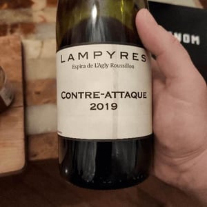 Contre-attaque - Domaine Lampyres - francois-xavier-daure