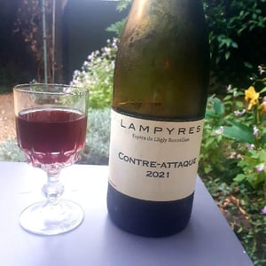 Contre-attaque - Domaine Lampyres - francois-xavier-daure