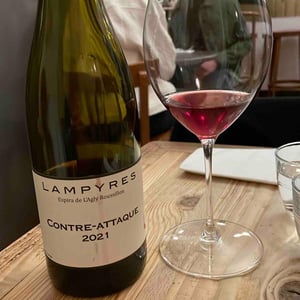 Contre-attaque - Domaine Lampyres - francois-xavier-daure