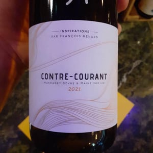 Contre Courant - Menard Gaborit - François Ménard -2021