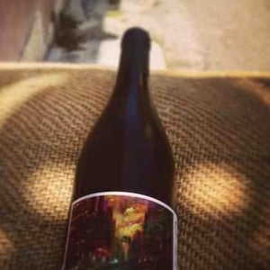 Contre Courant - Domaine de l'Alezan - Remi & Patricia Bonneton 