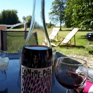 Contre-Pied - Domaine Plageoles - bernard-florent-romain-plageoles