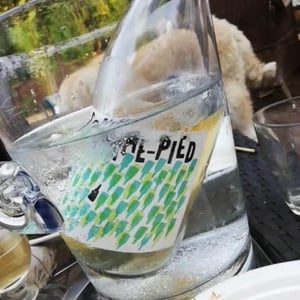 Contre-Pied - Domaine Plageoles - bernard-florent-romain-plageoles