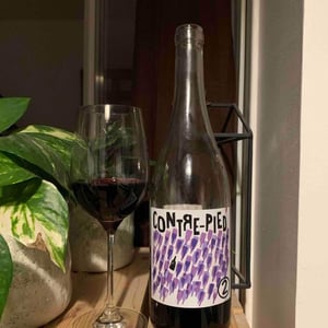 Contre-Pied - Domaine Plageoles - Bernard, Florent & Romain Plageoles 