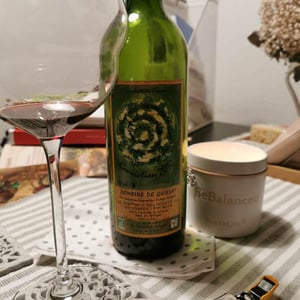 Conviction - Domaine de Quissat - Agathe et Romaric Delouvrié Hardy 