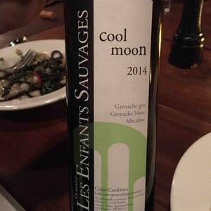 Cool Moon 2014 - Les Enfants Sauvages - Nikolaus & Caroline Bantlin -2017