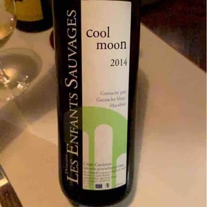 Cool Moon - Les Enfants Sauvages - Nikolaus & Caroline Bantlin -2017