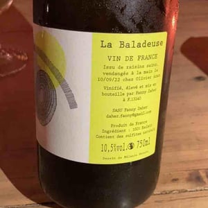 Copinages & Crustacés - La Baladeuse - Fanny Daher -2020