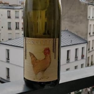 Coquette 2018