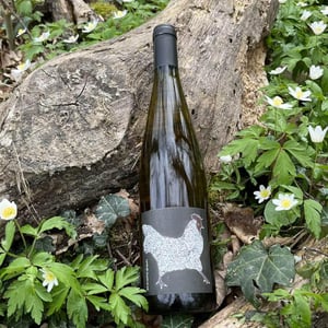 Coquette - Domaine Rietsch - jean-pierre-sophie-rietsch