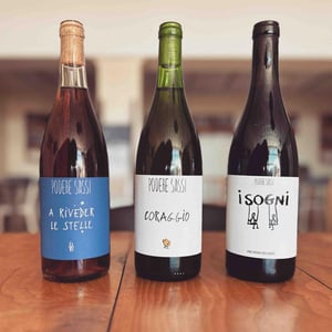 Coraggio Bianco - Podere Sassi - leonardo-sassi