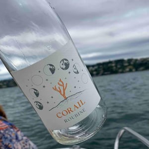 Corail d'Automne (blanc) - Clos Massotte - Pierre Nicolas Massotte 