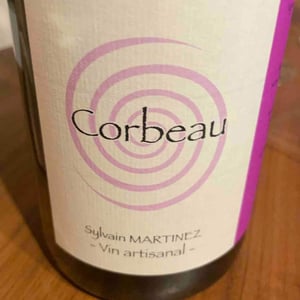 Corbeau - Sylvain Martinez - sylvain-martinez