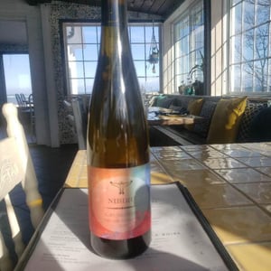 Grundstein Riesling - Nibiru - julia-nather-josef-schenter