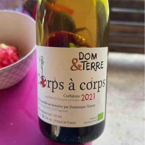Corps À Corps - Dom&Terre - Dominique Terrier 