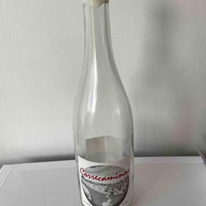 MicroBioWines - Ismael Gozalo - Correcaminos Blanco
