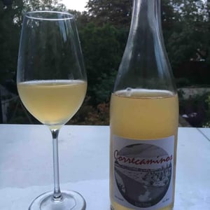 MicroBioWines - Ismael Gozalo - Correcaminos Blanco