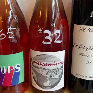 MicroBioWines - Ismael Gozalo - Correcaminos Blanco