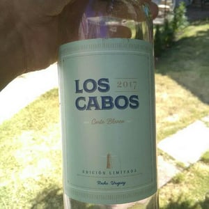 Corte Blanco - Los Cabos - peter