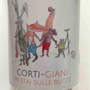 Corti-Giani - Castello di Stefanago - antonio-giacomo-baruffaldi