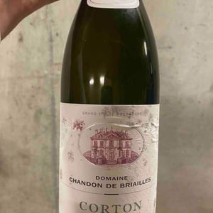 Corton Grand Cru - Domaine Chandon de Briailles - Claude & François de Nicolay 