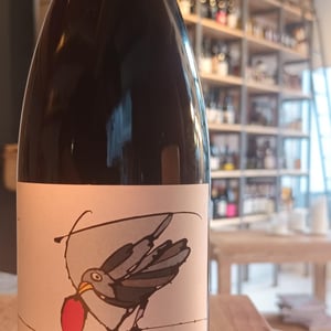 Vino Rosso - Azienda Agricola Corvagialla - beatrice-arweiler