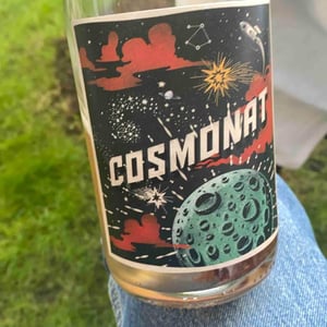 Cosmonat - Jan-Philipp Bleeke - Winemaking - jan-philipp-bleeke -2019