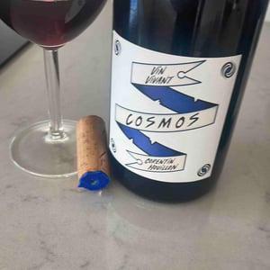 Cosmos - HC-vins - Corentin Houillon 