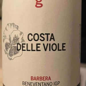 Costa Delle Viole - Azienda Agricola Giovanni Iannucci - giovanni-iannucci