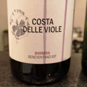 Costa Delle Viole - Azienda Agricola Giovanni Iannucci - Giovanni Iannucci 