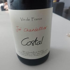 Costal - Joé Chandellier - Joé Chandellier 