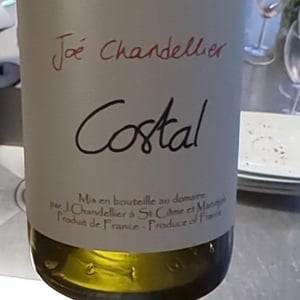 Costal - Joé Chandellier - Joé Chandellier 