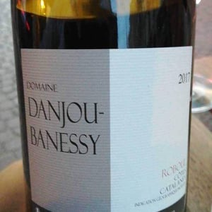 Coste - Domaine Danjou-Banessy - Benoît & Sébastien Danjou 