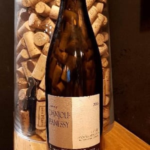 Coste - Domaine Danjou-Banessy - Benoît & Sébastien Danjou 