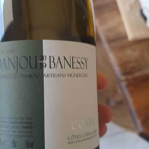 Coste - Domaine Danjou-Banessy - benoit-sebastien-danjou