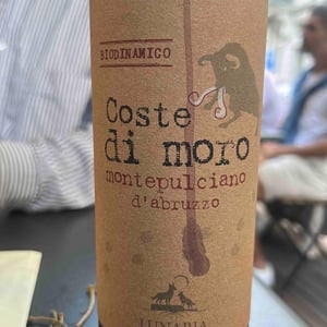 Coste di Moro - Cantina Orsogna - cantina-orsogna