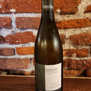 Coste - Domaine Danjou-Banessy - Benoît & Sébastien Danjou 