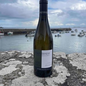 Coste - Domaine Danjou-Banessy - benoit-sebastien-danjou