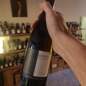 Coste - Domaine Danjou-Banessy - benoit-sebastien-danjou