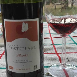Costeplane - Domaine Costeplane - francoise-vincent-coste