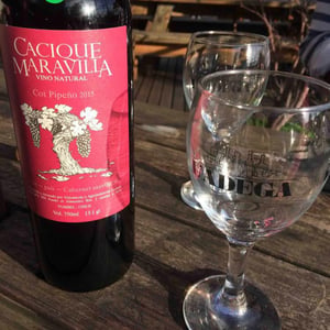 Cot Pipeño - Cacique Maravilla - Manuel Moraga 