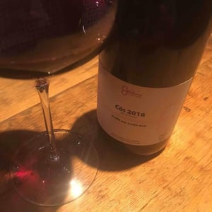 La Grange Tiphaine - Coralie & Damien Delécheneau - Côt Vieilles Vignes
