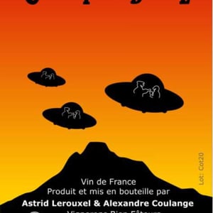 cotabul - Domaine Thuronis - Vigneron Bien Fêteur - alexandre-coulange-astrid-lerouxel -2020
