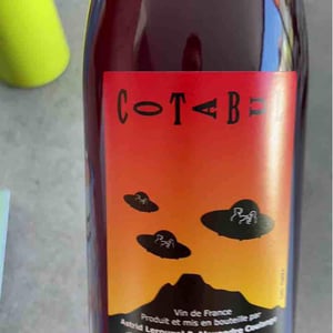 cotabul - Domaine Thuronis - Vigneron Bien Fêteur - alexandre-coulange-astrid-lerouxel -2020