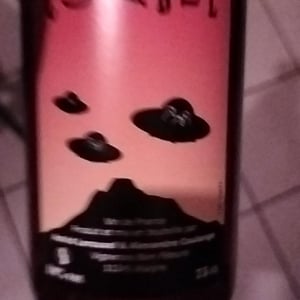 cotabul - Domaine Thuronis - Vigneron Bien Fêteur - alexandre-coulange-astrid-lerouxel -2020
