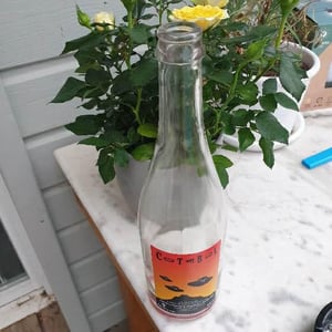 cotabul - Domaine Thuronis - Vigneron Bien Fêteur - Alexandre Coulange & Astrid Lerouxel -2020