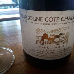 Cote Chalonnaise - Heilly Huberdeau - pierre-dheilly-et-martine-huberdeau
