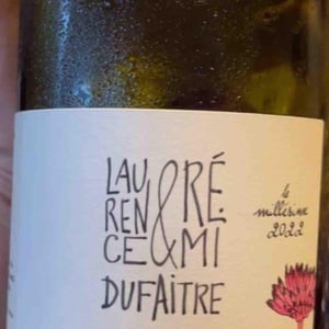 Côte de Brouilly - Domaine de Botheland - Rémi Dufaitre & Laurence Liatard