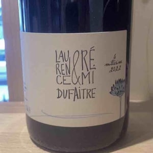 Côte de Brouilly - Domaine de Botheland - Rémi Dufaitre & Laurence Liatard 