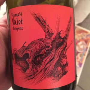 Les Sauvageons - Cosima and Romuald Valot - Côte De Brouilly